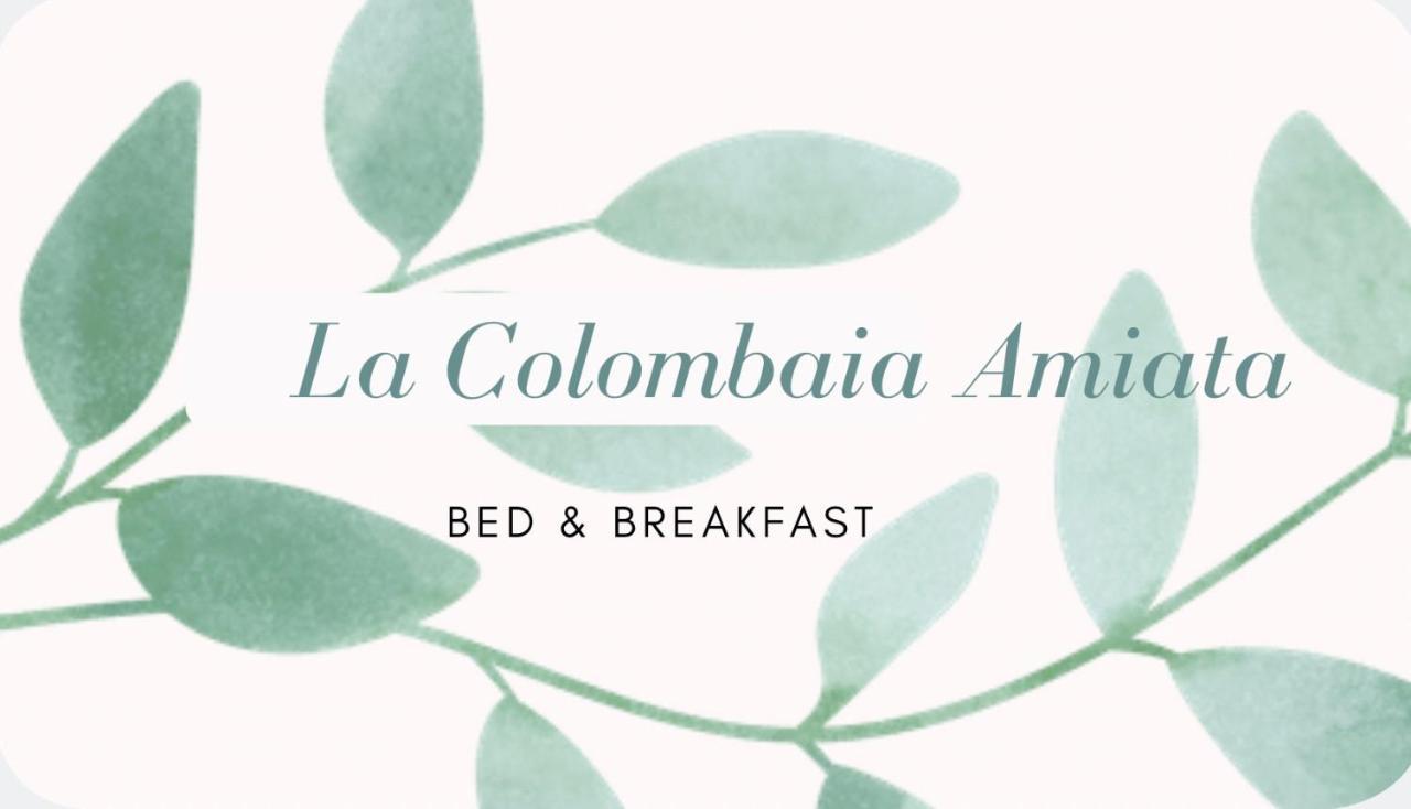 La Colombaia Amiata Bed & Breakfast อาร์ชิดอสโซ ภายนอก รูปภาพ